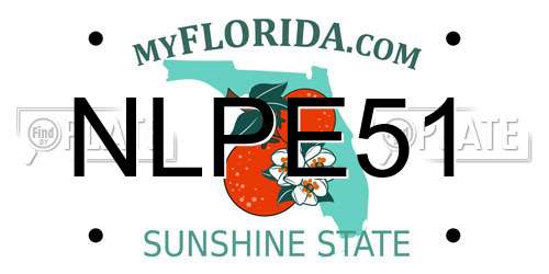 NLPE51 Florida License Plate
