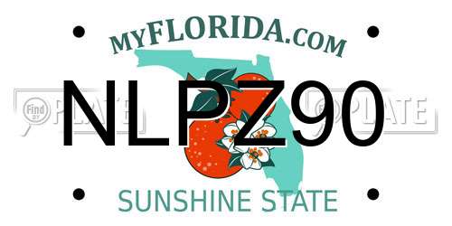 NLPZ90 Florida License Plate