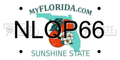 NLQP66 Florida License Plate