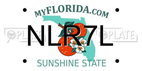 NLR7L Florida License Plate