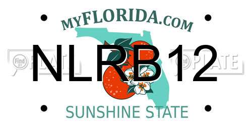NLRB12 Florida License Plate