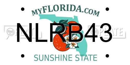 NLRB43 Florida License Plate