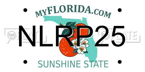 NLRP25 Florida License Plate