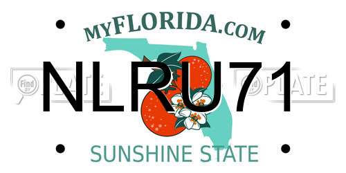 NLRU71 Florida License Plate