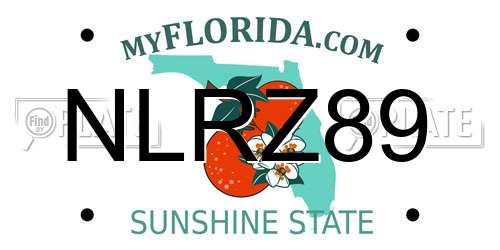 NLRZ89 Florida License Plate