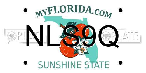 NLS9Q Florida License Plate