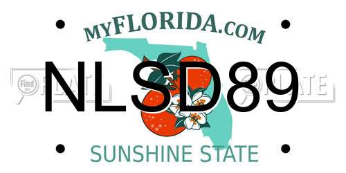 NLSD89 Florida License Plate