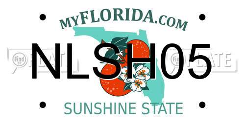 NLSH05 Florida License Plate