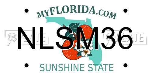 NLSM36 Florida License Plate