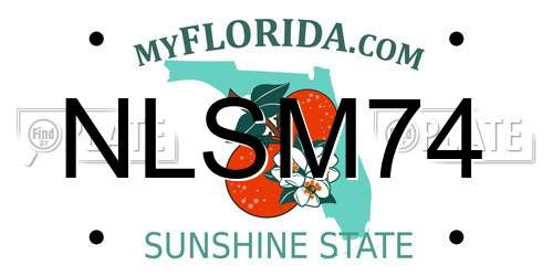 NLSM74 Florida License Plate