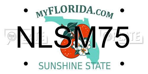NLSM75 Florida License Plate