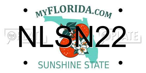 NLSN22 Florida License Plate