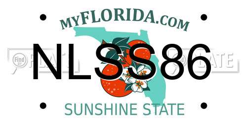 NLSS86 Florida License Plate