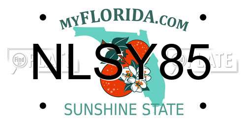 NLSY85 Florida License Plate