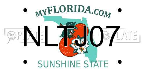NLTJ07 Florida License Plate