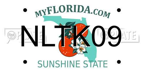 NLTK09 Florida License Plate