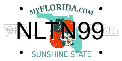 NLTN99 Florida License Plate