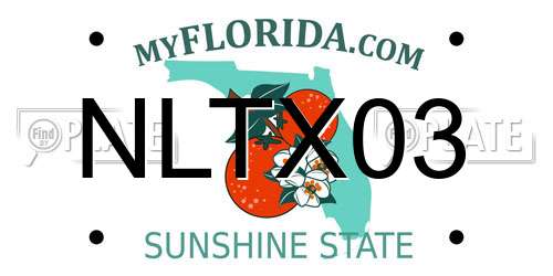 NLTX03 Florida License Plate