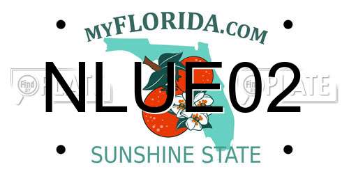 NLUE02 Florida License Plate