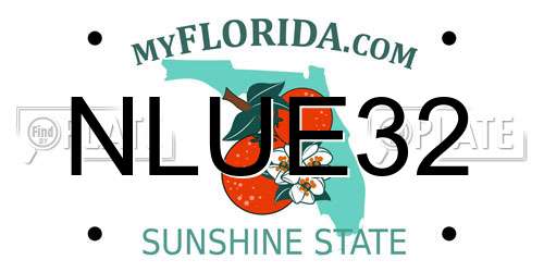 NLUE32 Florida License Plate