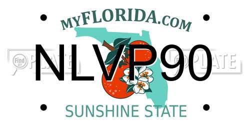NLVP90 Florida License Plate