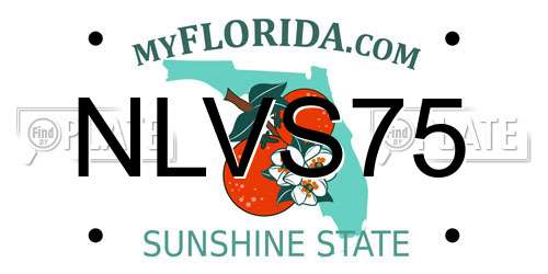 NLVS75 Florida License Plate