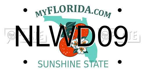 NLWD09 Florida License Plate