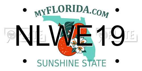 NLWE19 Florida License Plate