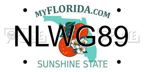 NLWG89 Florida License Plate