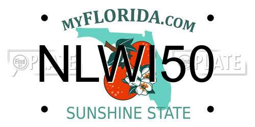 NLWI50 Florida License Plate