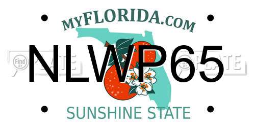 NLWP65 Florida License Plate