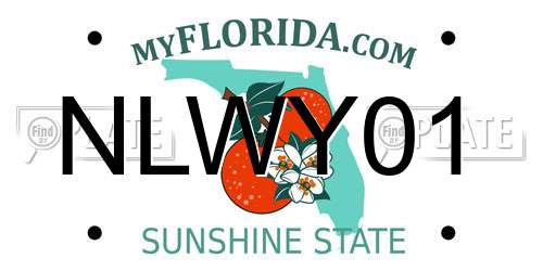 NLWY01 Florida License Plate