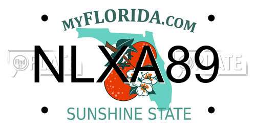 NLXA89 Florida License Plate