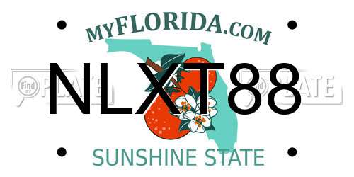 NLXT88 Florida License Plate