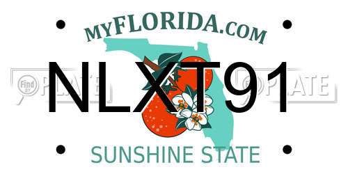 NLXT91 Florida License Plate