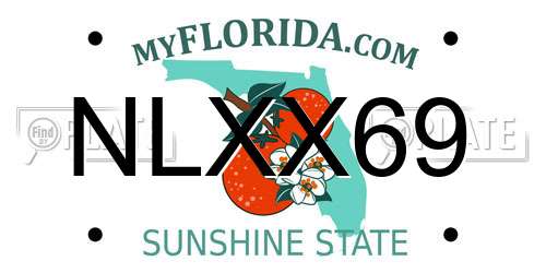 NLXX69 Florida License Plate