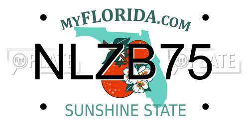NLZB75 Florida License Plate