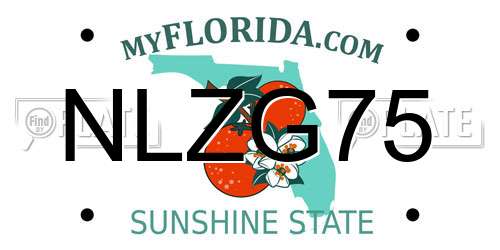 NLZG75 Florida License Plate