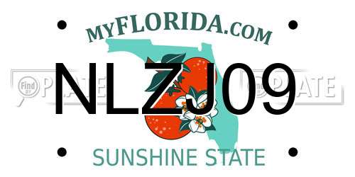 NLZJ09 Florida License Plate
