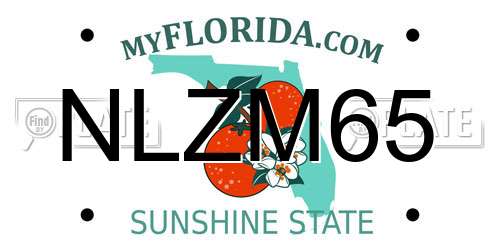 NLZM65 Florida License Plate
