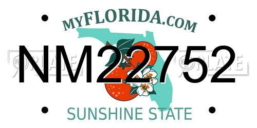NM22752 Florida License Plate