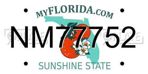 NM77752 Florida License Plate