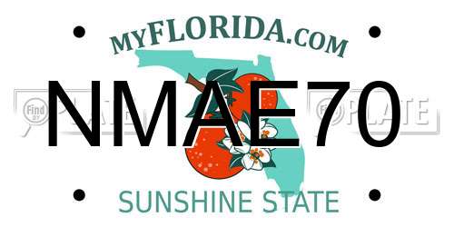 NMAE70 Florida License Plate