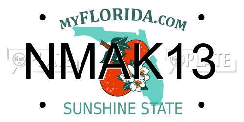 NMAK13 Florida License Plate