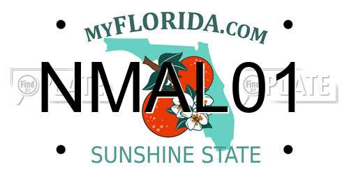 NMAL01 Florida License Plate