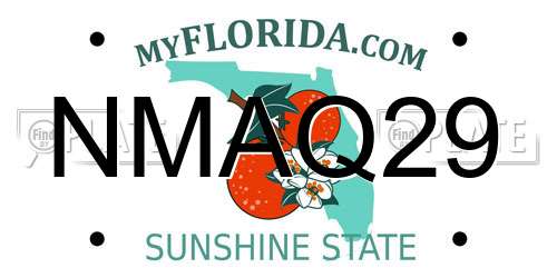 NMAQ29 Florida License Plate