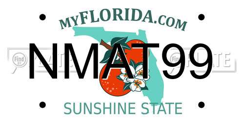 NMAT99 Florida License Plate