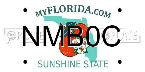 NMB0C Florida License Plate