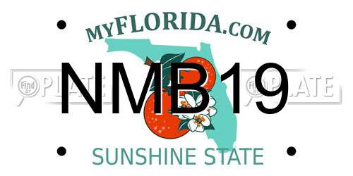 NMB19 Florida License Plate