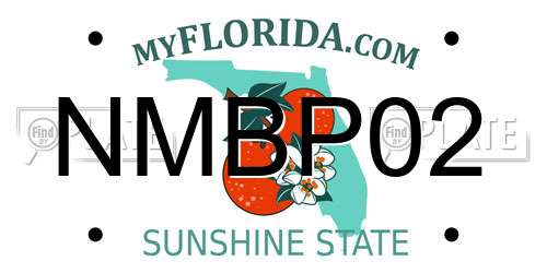 NMBP02 Florida License Plate